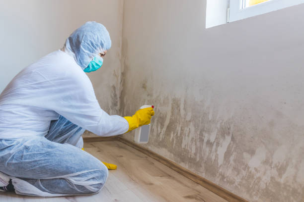 Licensed Mold Remediation service in Roswell, GA - WQB Mold Removal