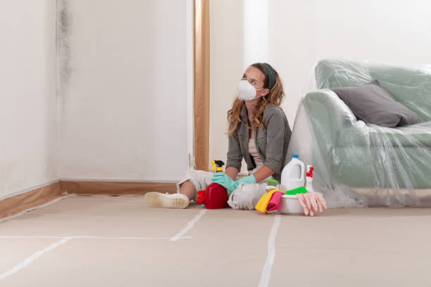 Reliable Mold Remediation contractor in Roswell, GA by WQB Mold Removal